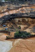 Destruction of Peru’s rainforest by illegal gold mining is twice as bad as thought